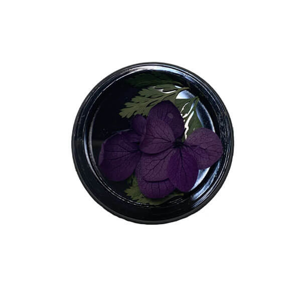 Purple Dried Petals